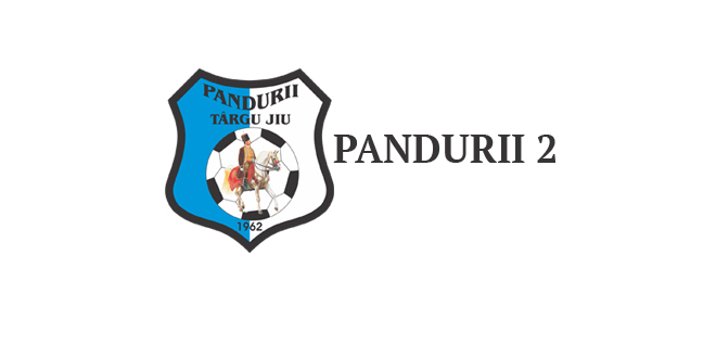 Pandurii II Târgu Jiu a pierdut cu 0-1 meciul disputat pe terenul celor de la Vulturii Lugoj