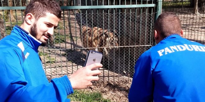 Pandurii au fost azi în vizită la Grădina Zoologică din Târgu Mureş