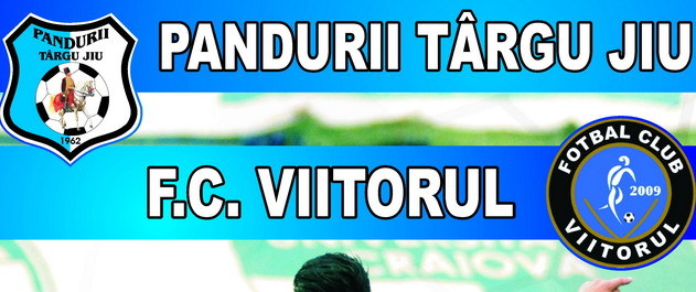 Preţurile biletelor pentru meciul dintre Pandurii Târgu Jiu şi FC Viitorul