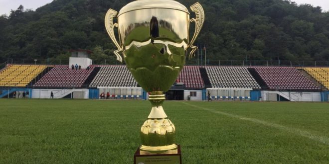 Juniorii Under 17 ani ai clubului Pandurii Târgu Jiu au părăsit Cupa României după sferturile de finală